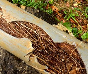 Should You Get a Sewer Scope Inspection When Buying a House?